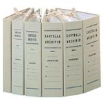 CARTELLA ARCHIVIO CON LEGACCI DORSO CM.5
